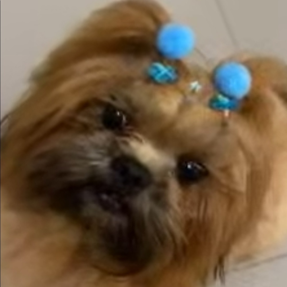 Meet your Posher, Estela